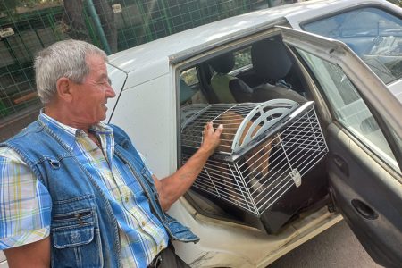 385894909_702699225250878_7399753422706532475_n