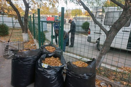 396706858_656804723259268_3618487175046312207_n_1