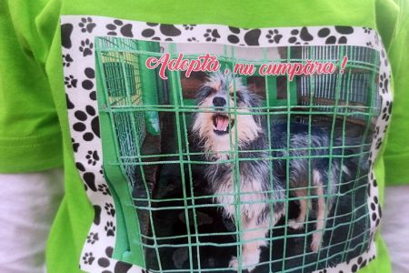 480685915_948098344129903_2284814682238334477_n_1